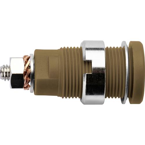 Schützinger DI SEB 6445 Ni / BR Sicherheits-Einbaubuchse Braun 1 St.