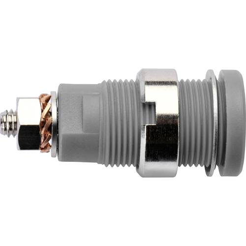 Schützinger DI SEB 6445 Ni / GR Sicherheits-Einbaubuchse Grau 1 St.