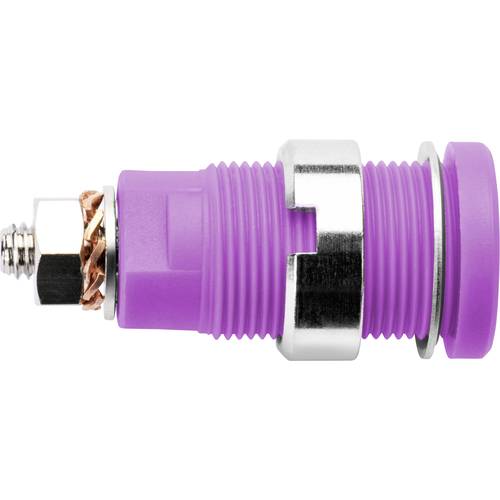 Schützinger DI SEB 6445 Ni / PVI Sicherheits-Einbaubuchse Violett 1 St.