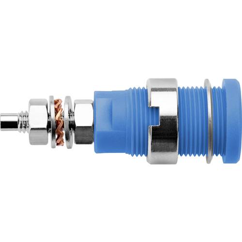 Schützinger DI SEB 6446 Ni / BL Sicherheits-Einbaubuchse Blau 1 St.