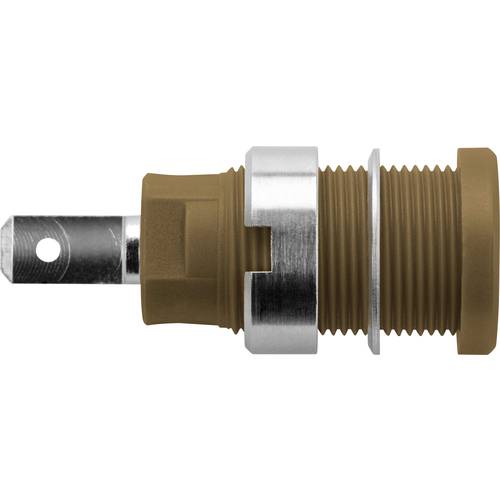 Schützinger DI SEB 6450 Ni / BR Sicherheits-Einbaubuchse Braun 1 St.