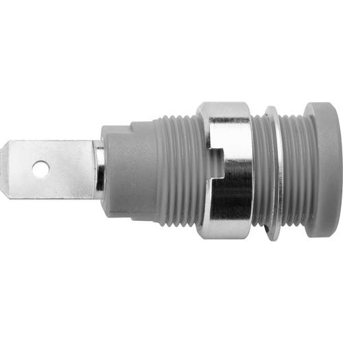 Schützinger DI SEB 6452 Ni / GR Sicherheits-Einbaubuchse Grau 1 St.