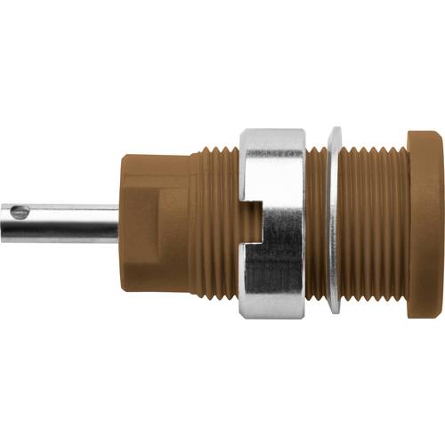 Schützinger DI SEB 6525 Ni / BR Sicherheits-Einbaubuchse Braun 1 St.