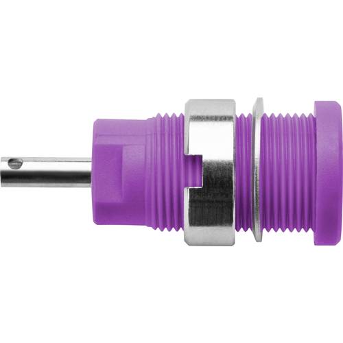 Schützinger DI SEB 6525 Ni / PVI Sicherheits-Einbaubuchse Violett 1 St.