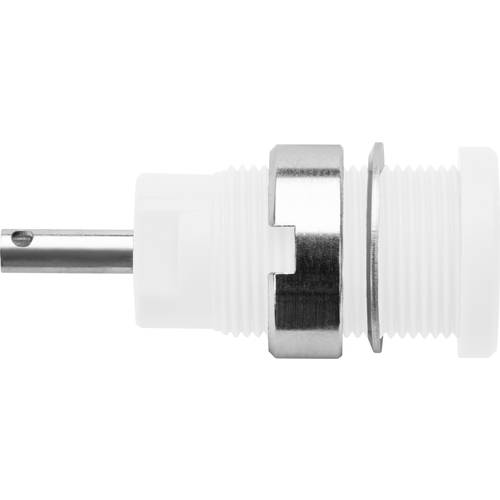 Schützinger DI SEB 6525 Ni / WS Sicherheits-Einbaubuchse Weiß 1 St.