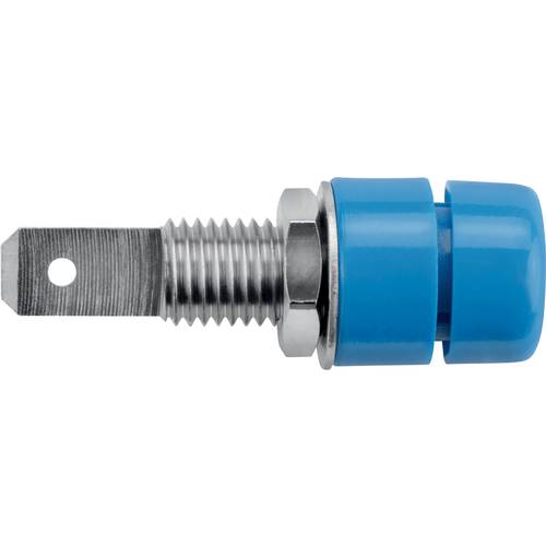 Schützinger IBU 5568 Ni / BL Einbaubuchse Blau 1 St.