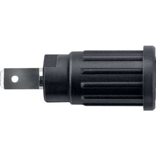 Schützinger SEPB 6451 Ni / SW Sicherheits-Einpressbuchse Schwarz 1 St.