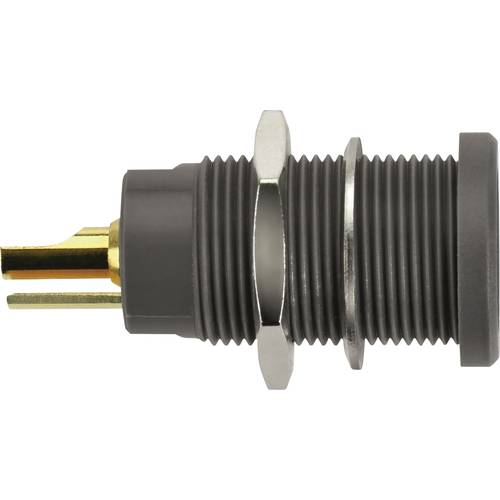 Schützinger DI KBU 7992 L Au / SW Kelvin-Einbaubuchse Schwarz 1 St.