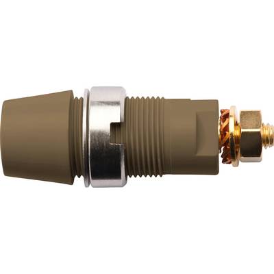 Brauner Koaxialstecker mit Metallring und goldfarbenem Anschluss, seitlich dargestellt.