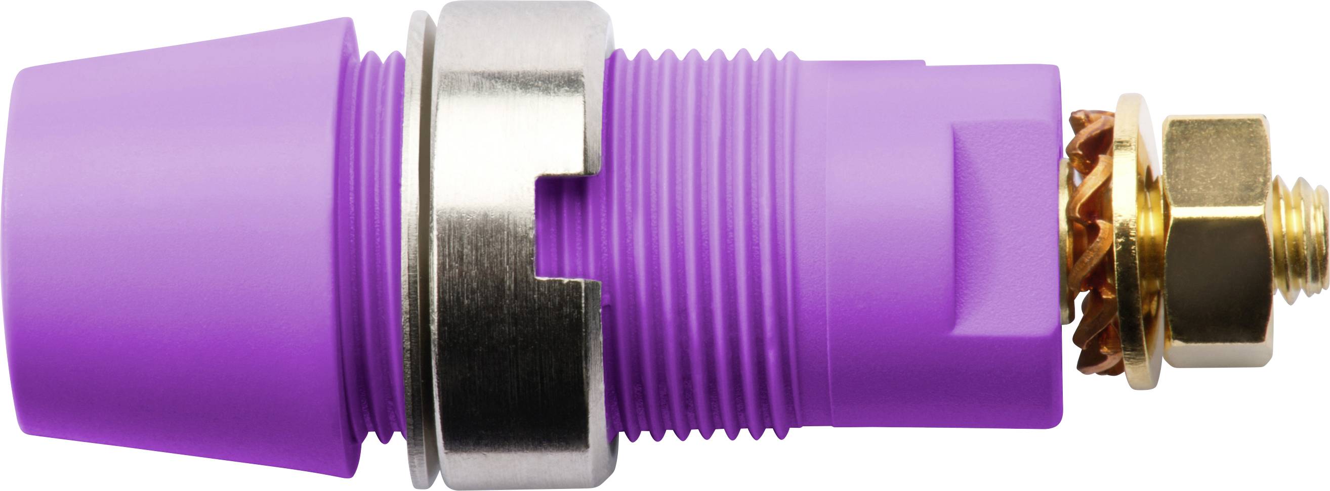Schützinger Sicherheits-Aufbaubuchse Violett 1 St.