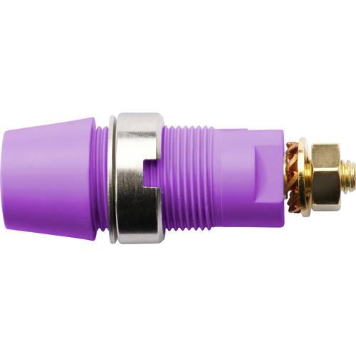 Schützinger Sicherheits-Aufbaubuchse Violett 1 St.