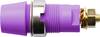 Schützinger Sicherheits-Aufbaubuchse Buchse Violett 1 St. Piece