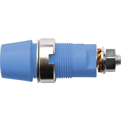 Schützinger DI SAB 6922 Ni / BL Sicherheits-Aufbaubuchse Blau 1 St.