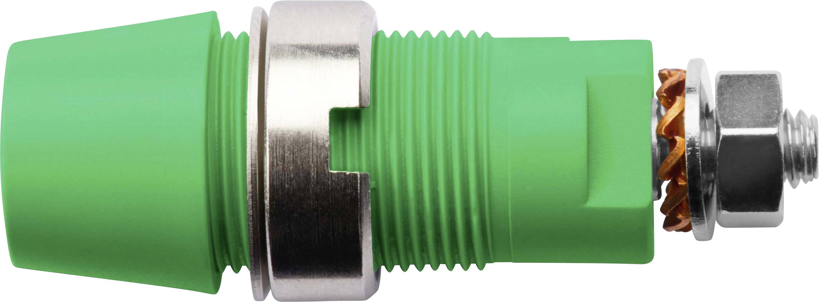 Schützinger Sicherheits-Aufbaubuchse Grün 1 St.