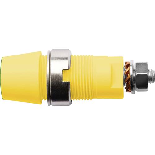 Schützinger Sicherheits-Aufbaubuchse Grün-Gelb 1 St.