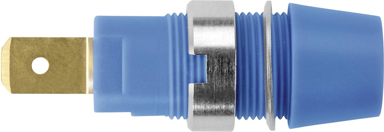 Schützinger Sicherheits-Aufbaubuchse Blau 1 St.