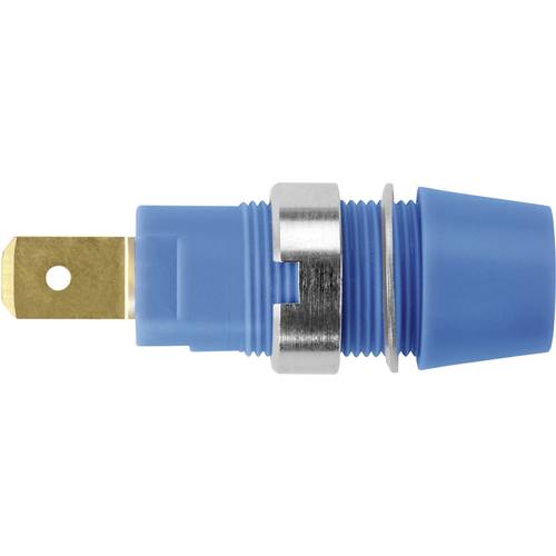 Schützinger Sicherheits-Aufbaubuchse Blau 1 St.