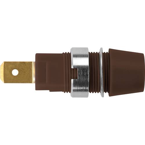 Schützinger Sicherheits-Aufbaubuchse Braun 1 St.