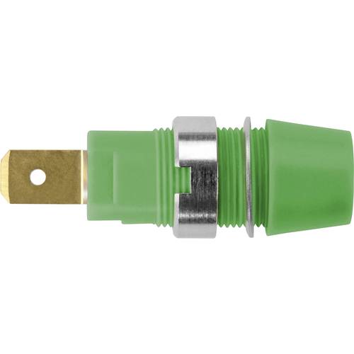 Schützinger Sicherheits-Aufbaubuchse Grün 1 St.