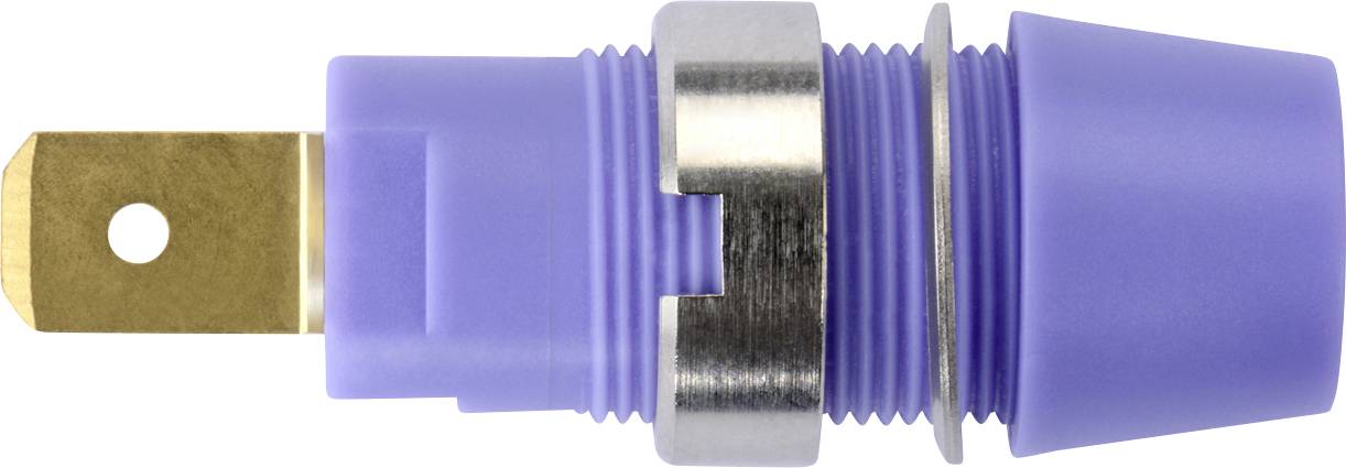 Schützinger Sicherheits-Aufbaubuchse Violett 1 St.