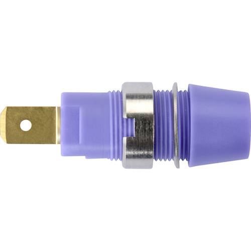 Schützinger Sicherheits-Aufbaubuchse Violett 1 St.