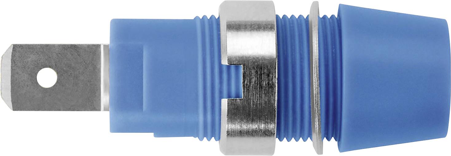 Schützinger Sicherheits-Aufbaubuchse Blau 1 St.