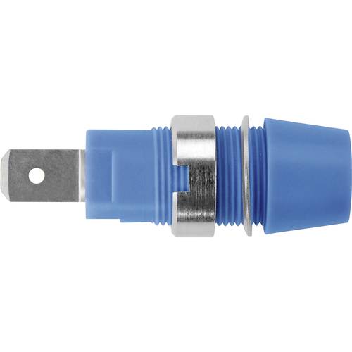 Schützinger Sicherheits-Aufbaubuchse Blau 1 St.