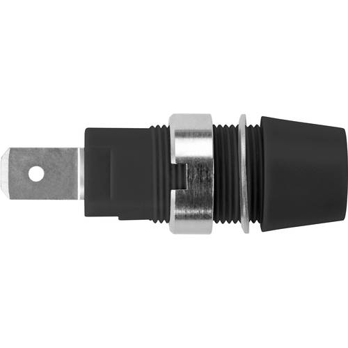 Schützinger Sicherheits-Aufbaubuchse Schwarz 1 St.