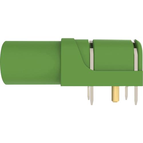 Schützinger Sicherheits-Winkeleinbaubuchse Grün 1 St.