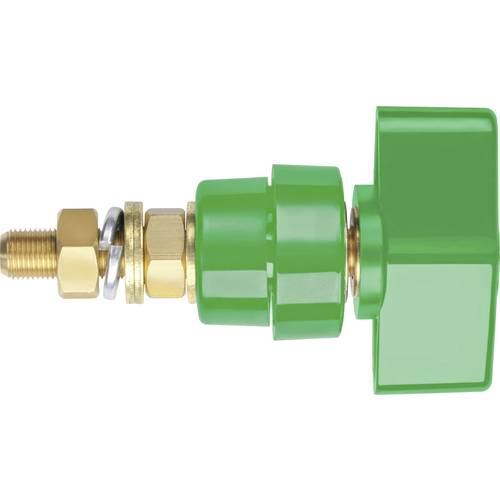 Schützinger Polklemme Grün 100 A 1 St.