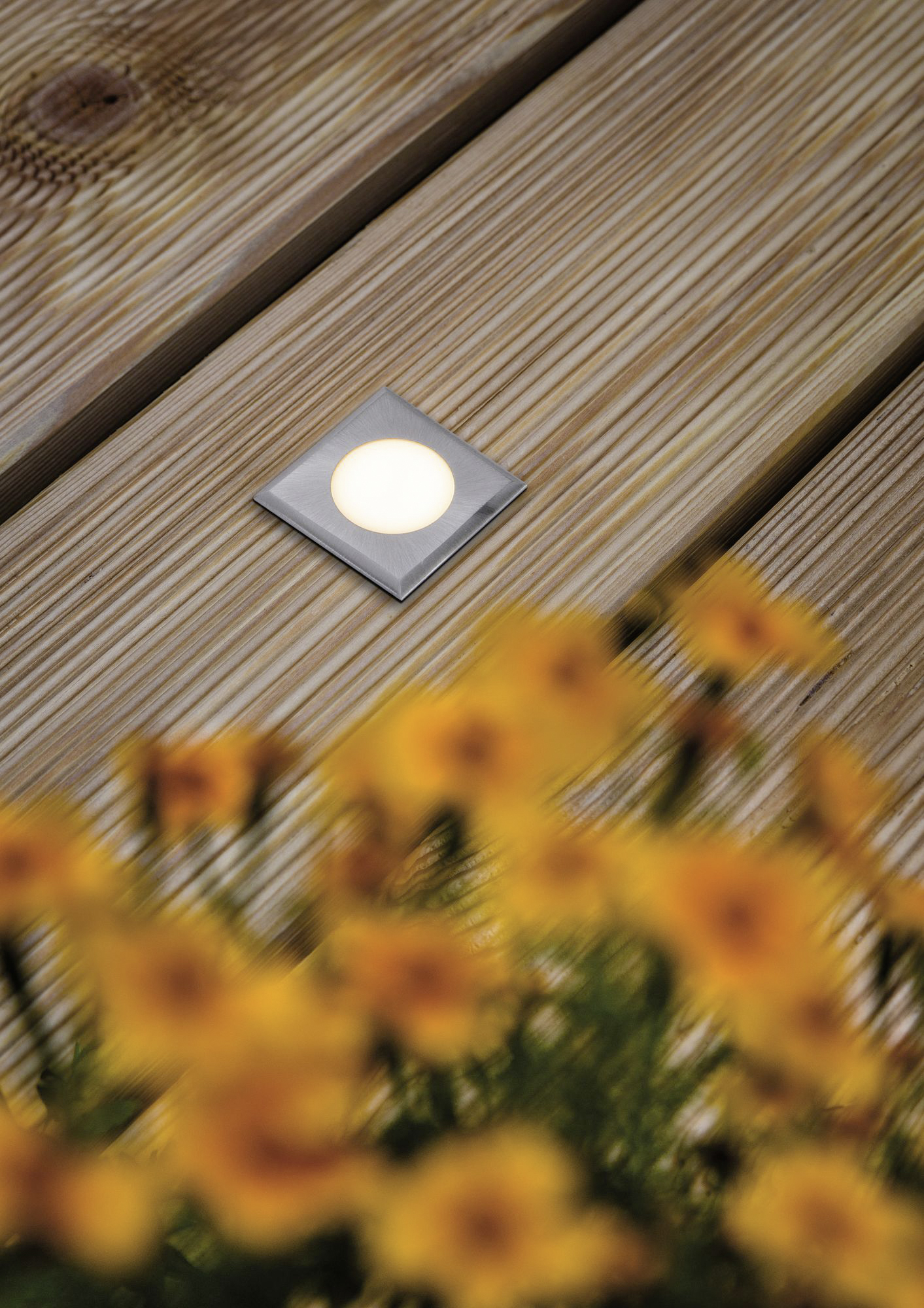 Ein quadratisches LED-Decklicht ist in einer Holzterrasse eingelassen. Im Vordergrund unscharf gelbe Blumen.