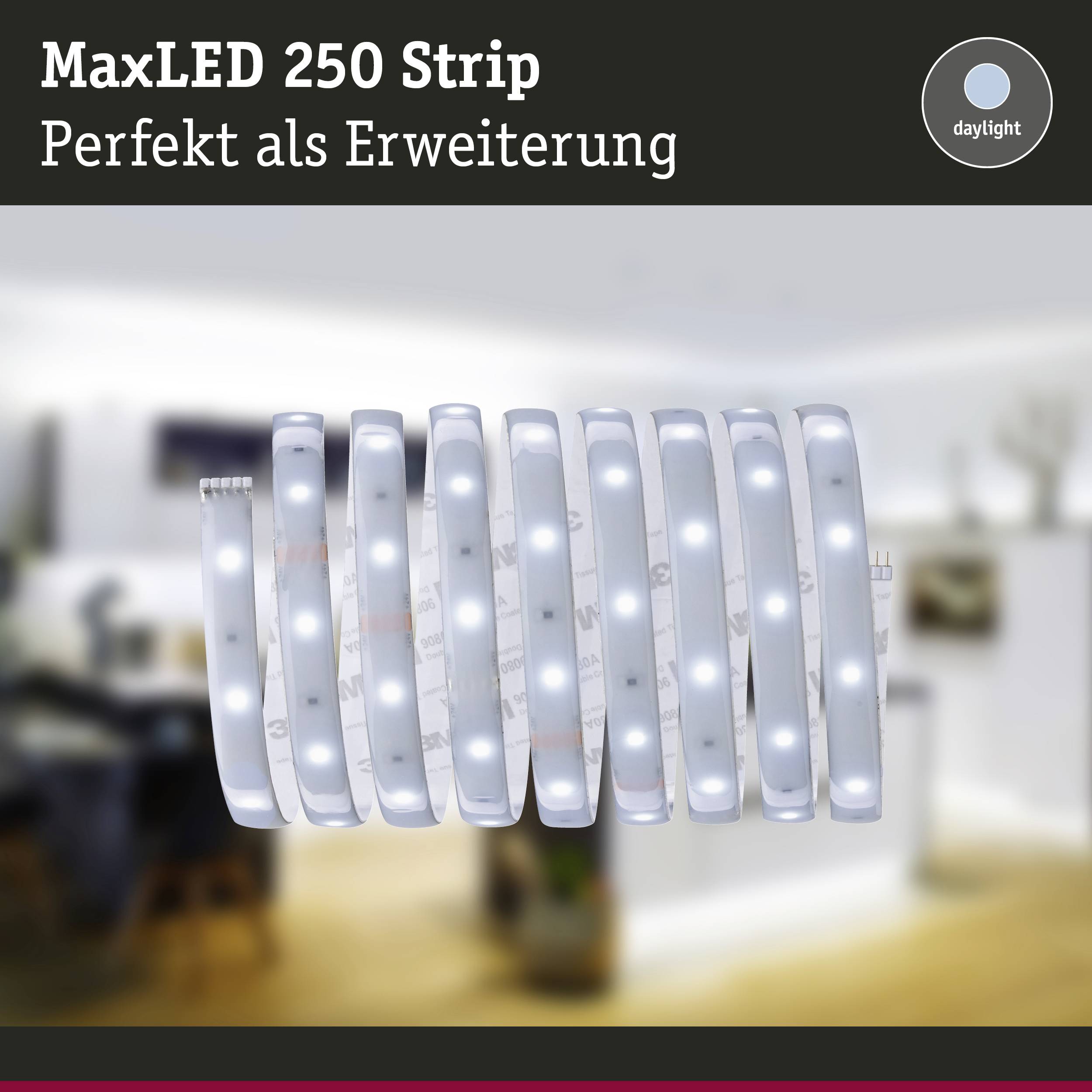 'MaxLED 250 Strip: Perfekt als Erweiterung' – Ein beleuchtetes LED-Band in einem modernen Innenraum mit Tageslichtfarbton.