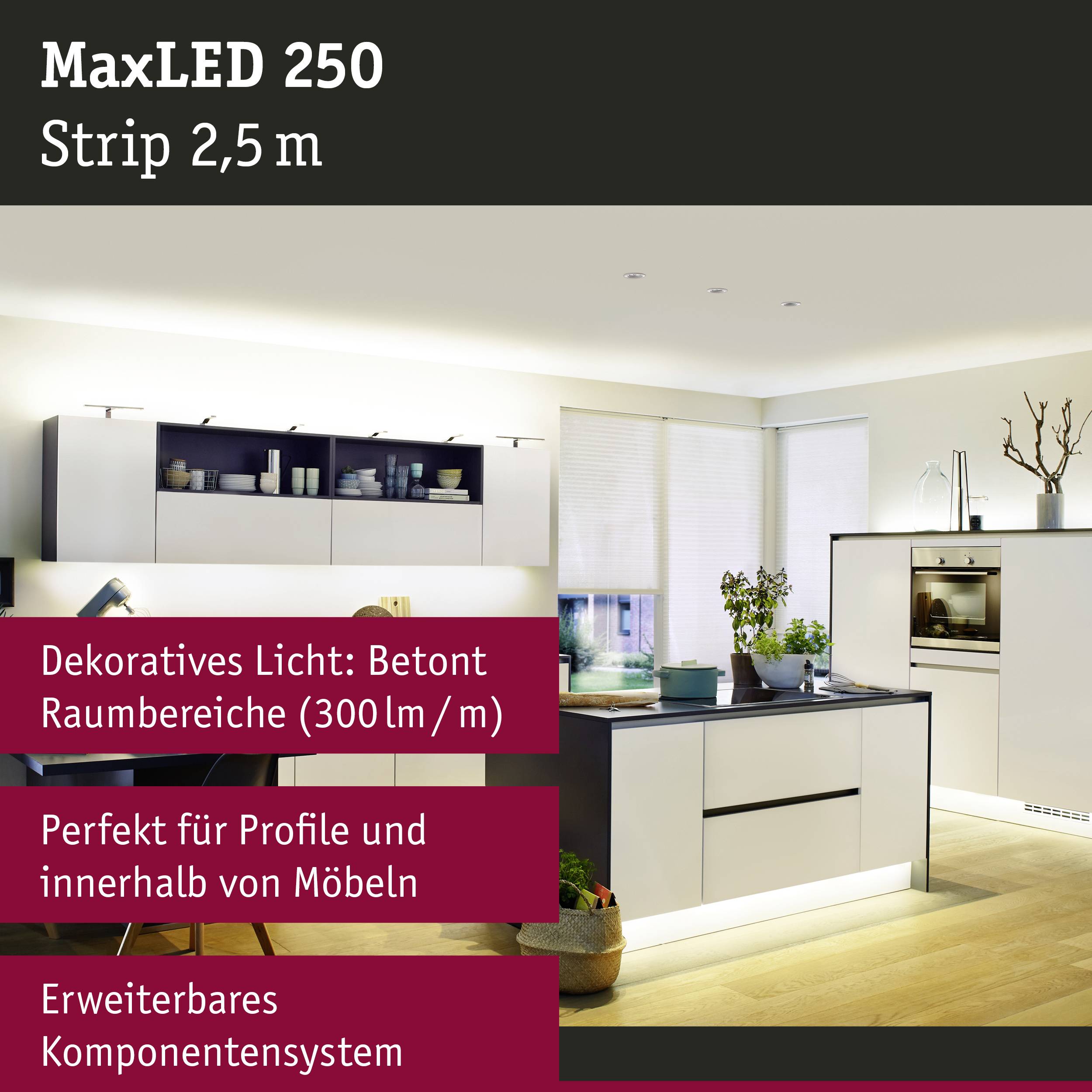 'MaxLED 250 Strip 2,5 m' Beleuchtungssystem mit Betonung auf Raum- und Möbelbeleuchtung. Erweiterbares Komponentensystem.