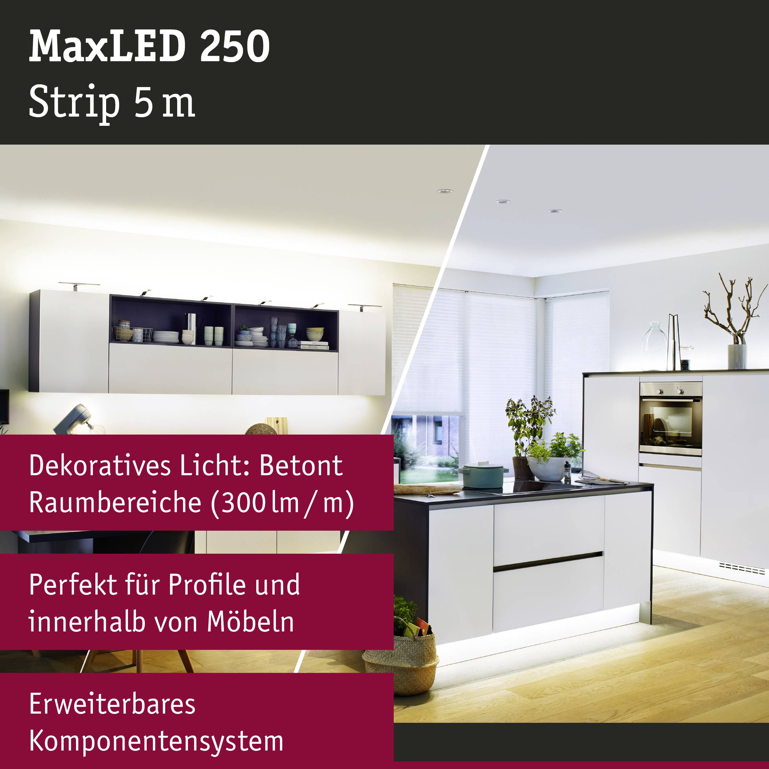 'MaxLED 250 Strip 5 m' und beleuchtete Wohnküche. Text: 'Dekoratives Licht: Betont Raumbereiche (300 lm/m) perfekt für Möbel.'