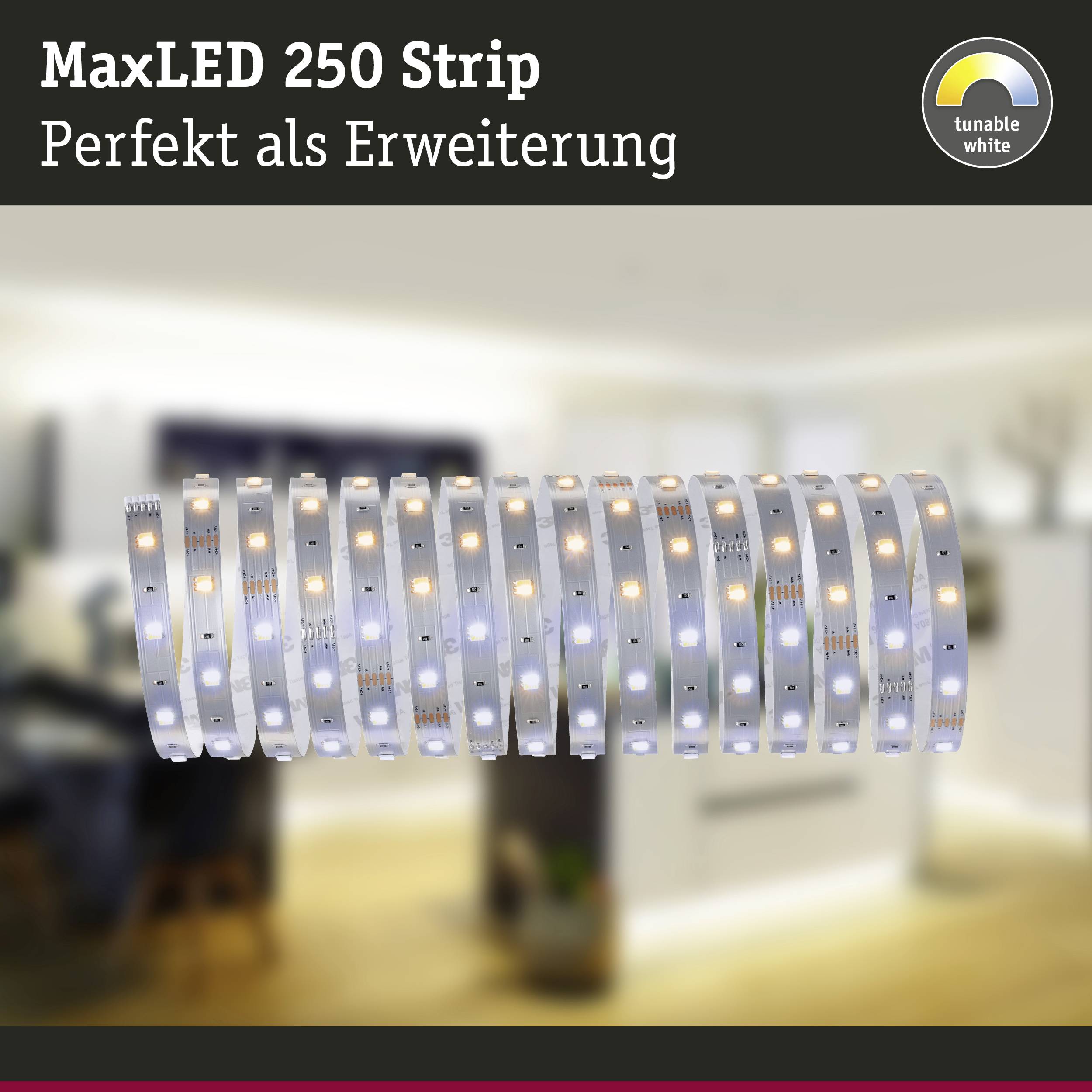 Ein LED-Streifen mit weißen Lichtern ist zu sehen. Text: 'MaxLED 250 Strip - Perfekt als Erweiterung'. Hintergrund zeigt einen unscharfen Raum.