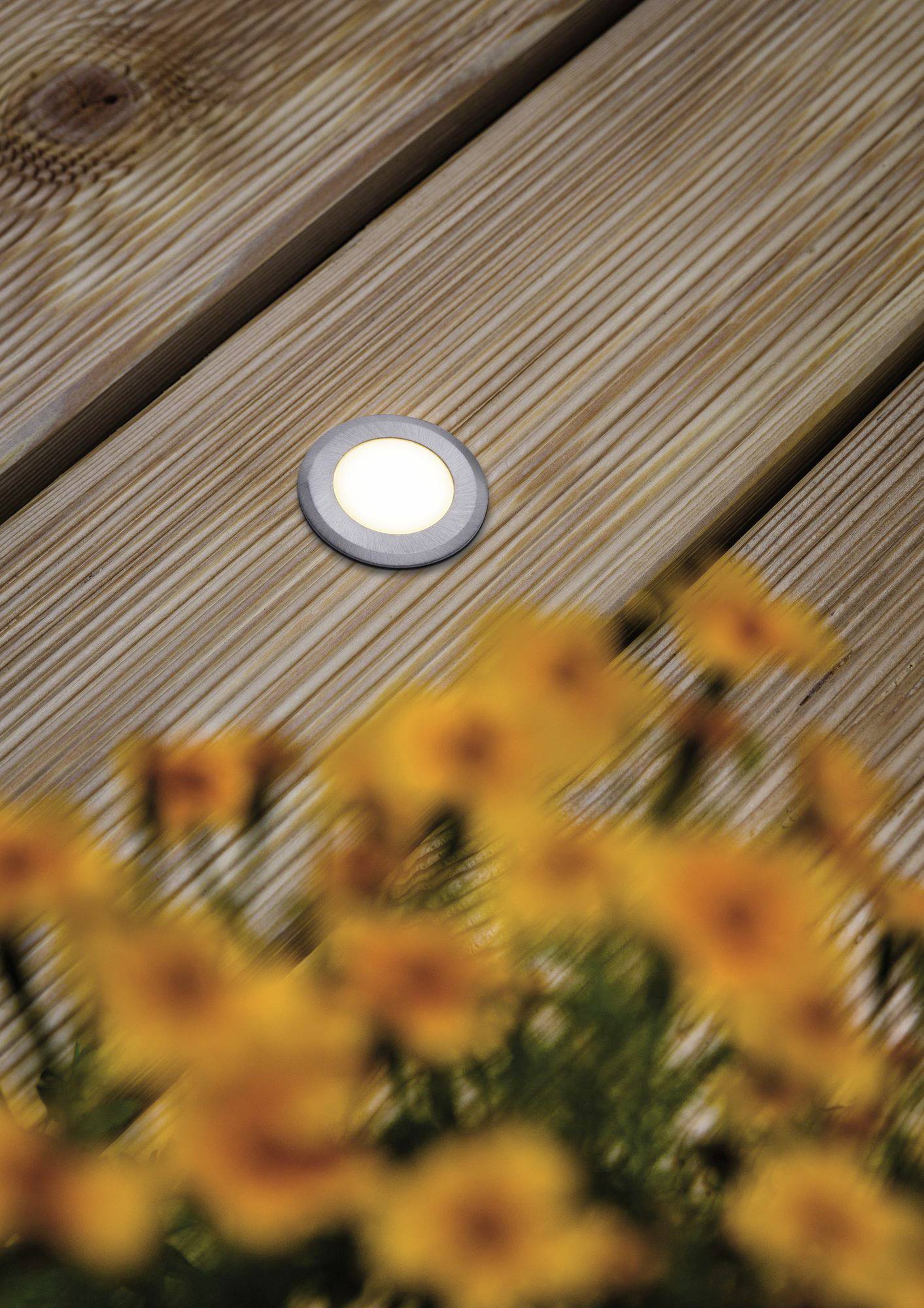 Beleuchtetes LED-Decklicht in Holzboden, gelbe Blumen im Vordergrund, abendliche Atmosphäre.