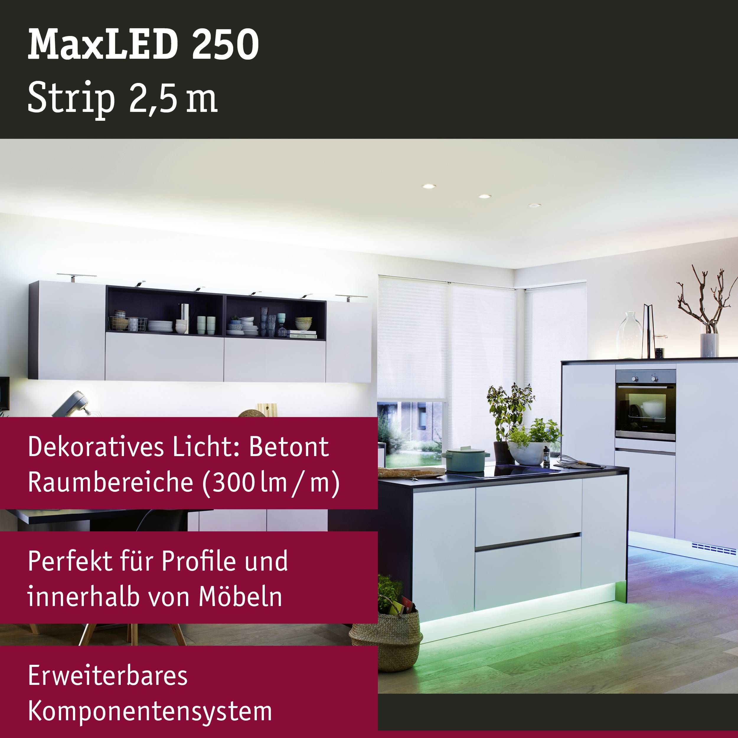 Küche mit modernem Lichtsystem. LED-Streifen beleuchten Regale und Arbeitsplatten, betonen Raumabschnitte und Möbel.