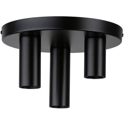 Paulmann 79761 Deckenleuchte E27 Schwarz