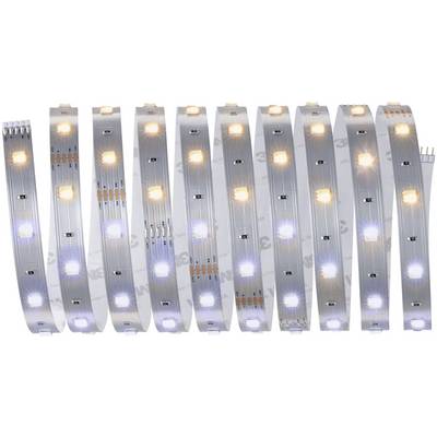 Mehrere LED-Lichtstreifen in einer Reihe. Sie zeigen verschiedene Lichter in warmweißen und kühlen Tönen.