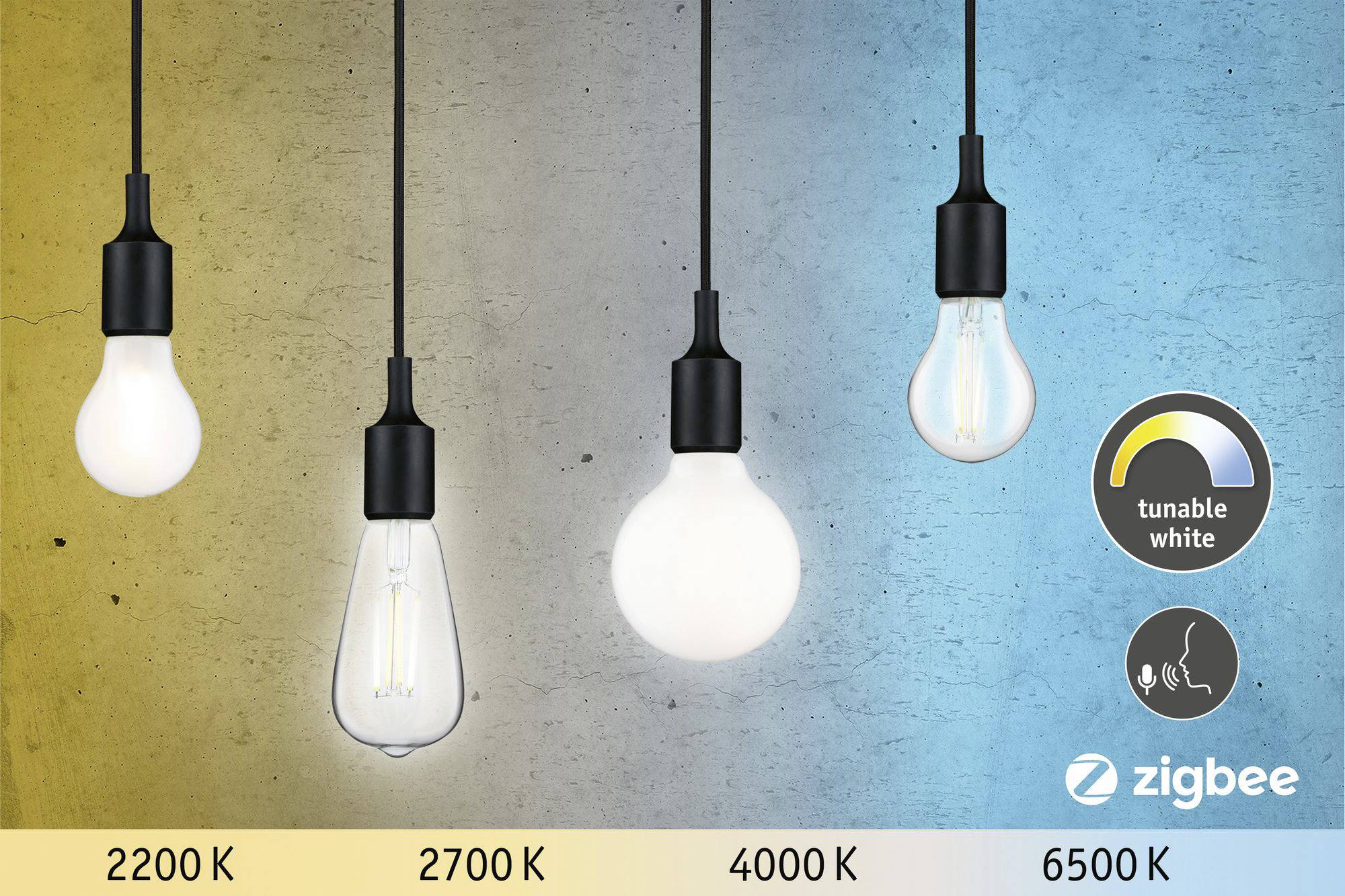 Glühbirnen mit variabler Farbtemperatur (2200K, 2700K, 4000K, 6500K) von warm bis kalt. Tunable White Logo und Zigbee-Logo rechts.
