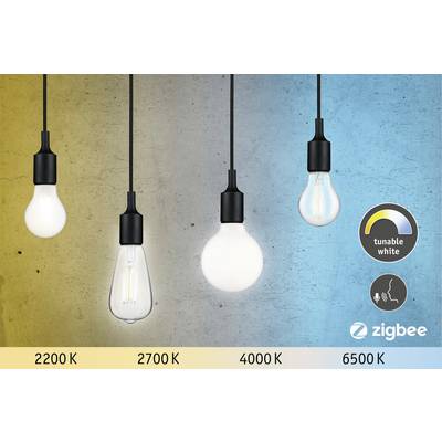 Glühbirnen mit variabler Farbtemperatur (2200K, 2700K, 4000K, 6500K) von warm bis kalt. Tunable White Logo und Zigbee-Logo rechts.
