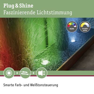 'Plug & Shine: Faszinierende Lichtstimmung' zeigt Farbbeleuchtung in Grün- und Rottönen mit RGBW- und Tunable-White-Steuerung.