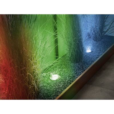 Mehrfarbig beleuchtete Ziergras-Bepflanzung in einem Kiesbeet. Lichter in Rot, Grün und Blau erzeugen einen stimmungsvollen Effekt.