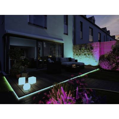 Beleuchteter moderner Hinterhof bei Dämmerung, mit bunten LED-Lichtern, komfortabler Sitzgruppe und dekorativen Pflanzen.