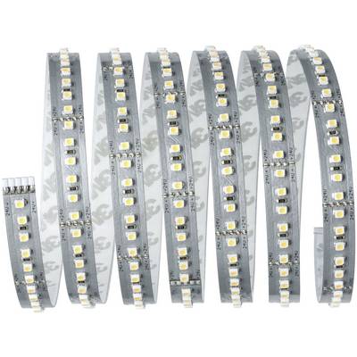 Ein aufgerollter LED-Streifen mit mehreren leuchtenden LEDs auf einer flexiblen Platte. Ideal zur Beleuchtung oder Dekoration.