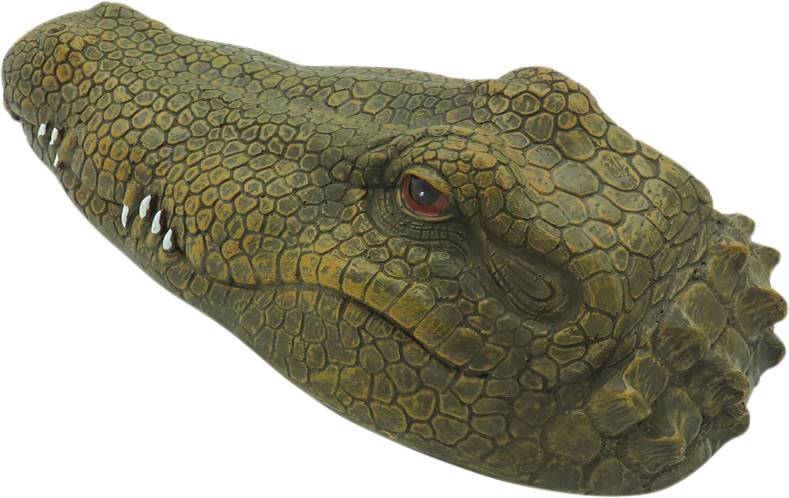 Krokodil-Kopf RC Einsteiger Funktionsmodell RtR 300 mm-2