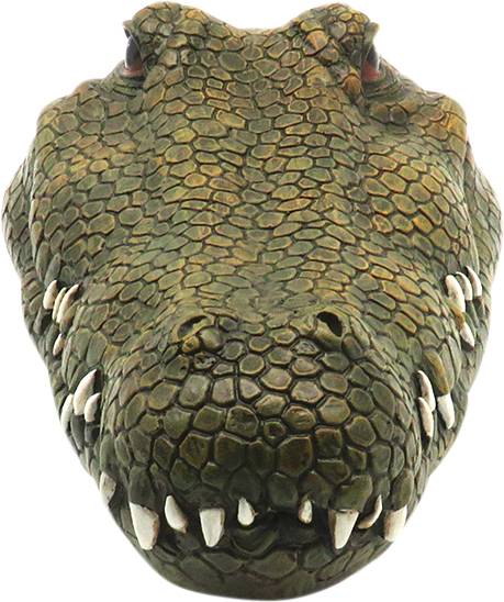 Krokodil-Kopf RC Einsteiger Funktionsmodell RtR 300 mm-3