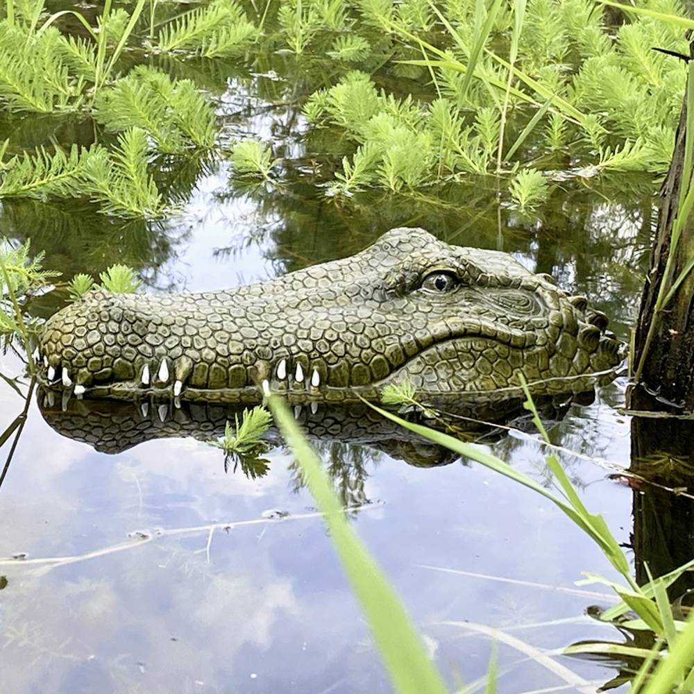 Krokodil-Kopf RC Einsteiger Funktionsmodell RtR 300 mm-6