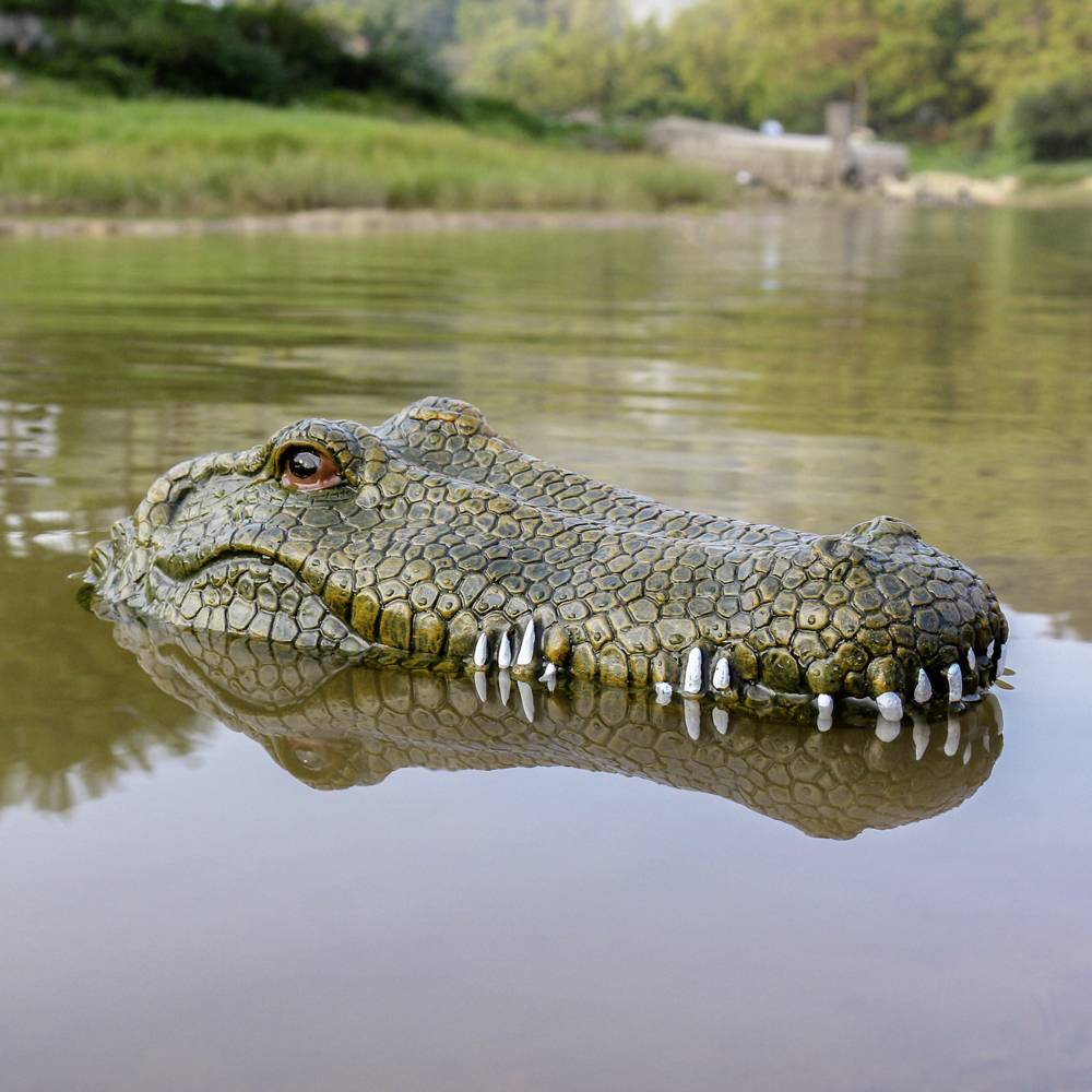 Krokodil-Kopf RC Einsteiger Funktionsmodell RtR 300 mm-9