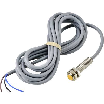 Graues Kabel mit einem am Ende befestigten zylindrischen Sensor. Der Sensor hat eine goldene Spitze. Kabel ist aufgewickelt.